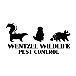 Wentzel Wildlife Pest Control