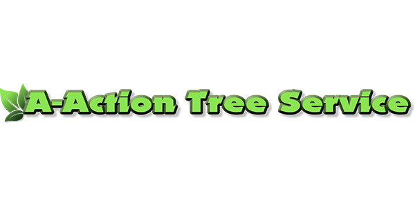 Tree 47 Tree 14