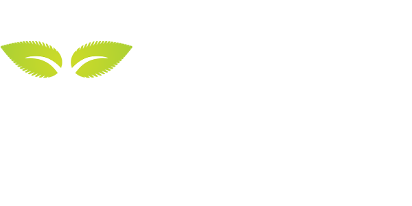 Tree 49 Tree 16