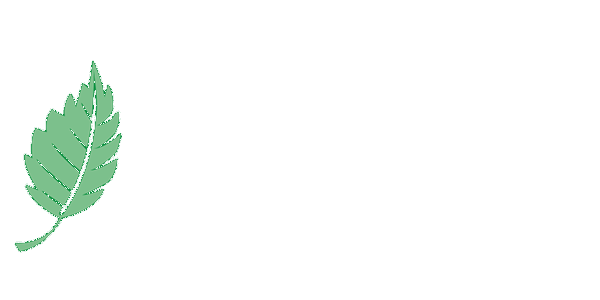 Pest Control 43 Pest Control 10